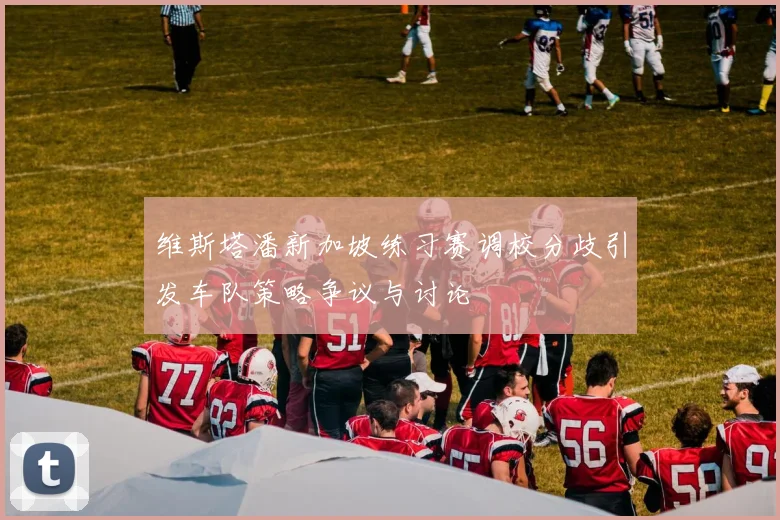 维斯塔潘新加坡练习赛调校分歧引发车队策略争议与讨论