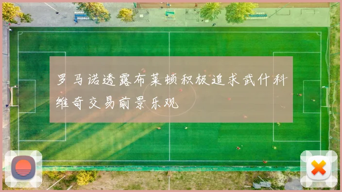 罗马诺透露布莱顿积极追求武什科维奇交易前景乐观